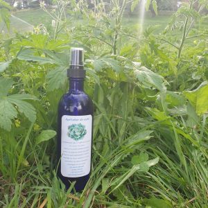 Hydrolat de Eucalyptus radié