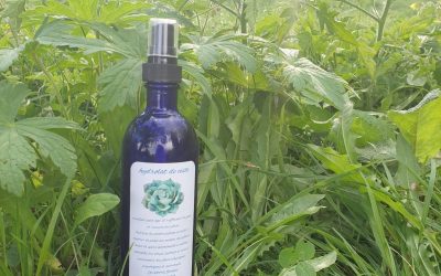 Un hydrolat, qu&rsquo;est-ce que c&rsquo;est ?